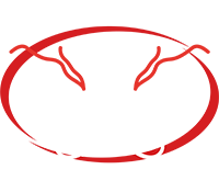 Last Monsoon